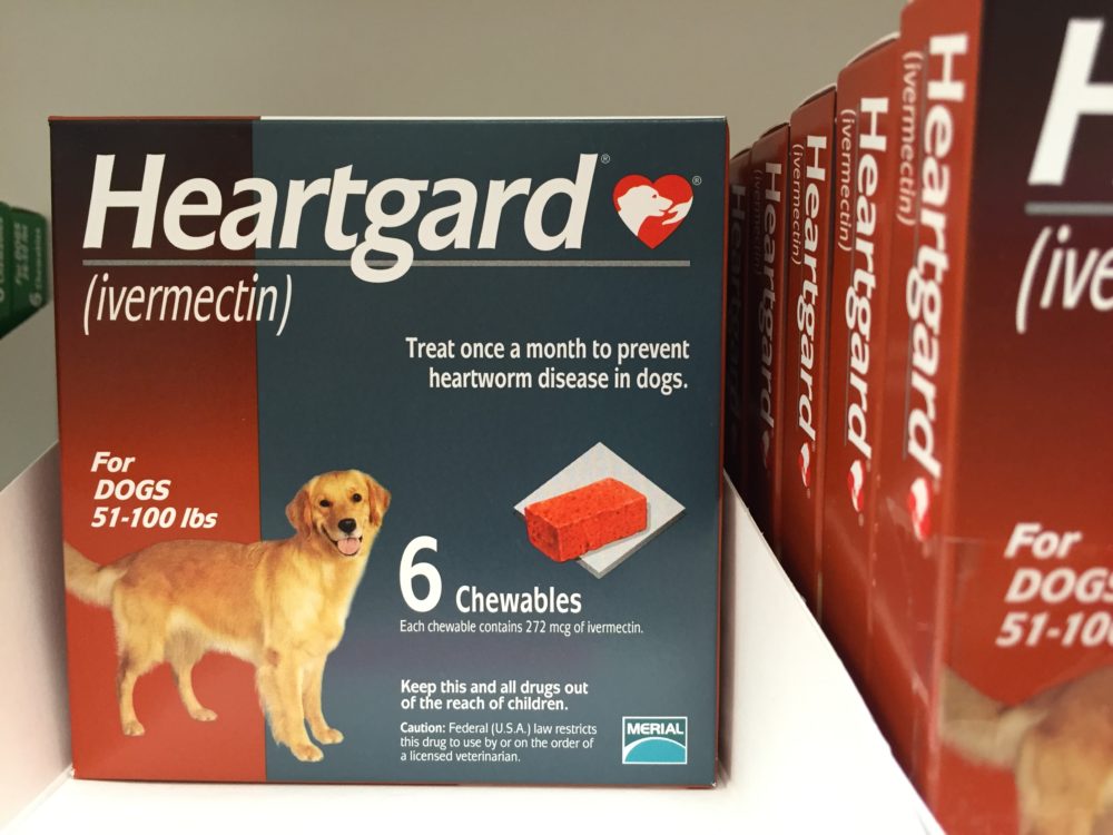 Ivermectin for dogs