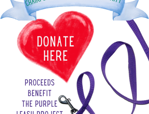 Help Domestic Abuse Survivors and Their Pets with the Purina Purple Leash Project