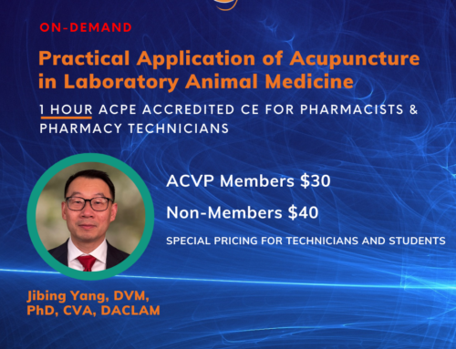 Veterinary Acupuncture Continuing Education Webinar | 1 Contact Hour (0.1 CEU)