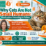 ACVP Webinar — Why Cats Are Not Small Humans October 8 2026