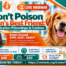 Don’t Poison Man’s Best Friend — Webinar Graphic 2