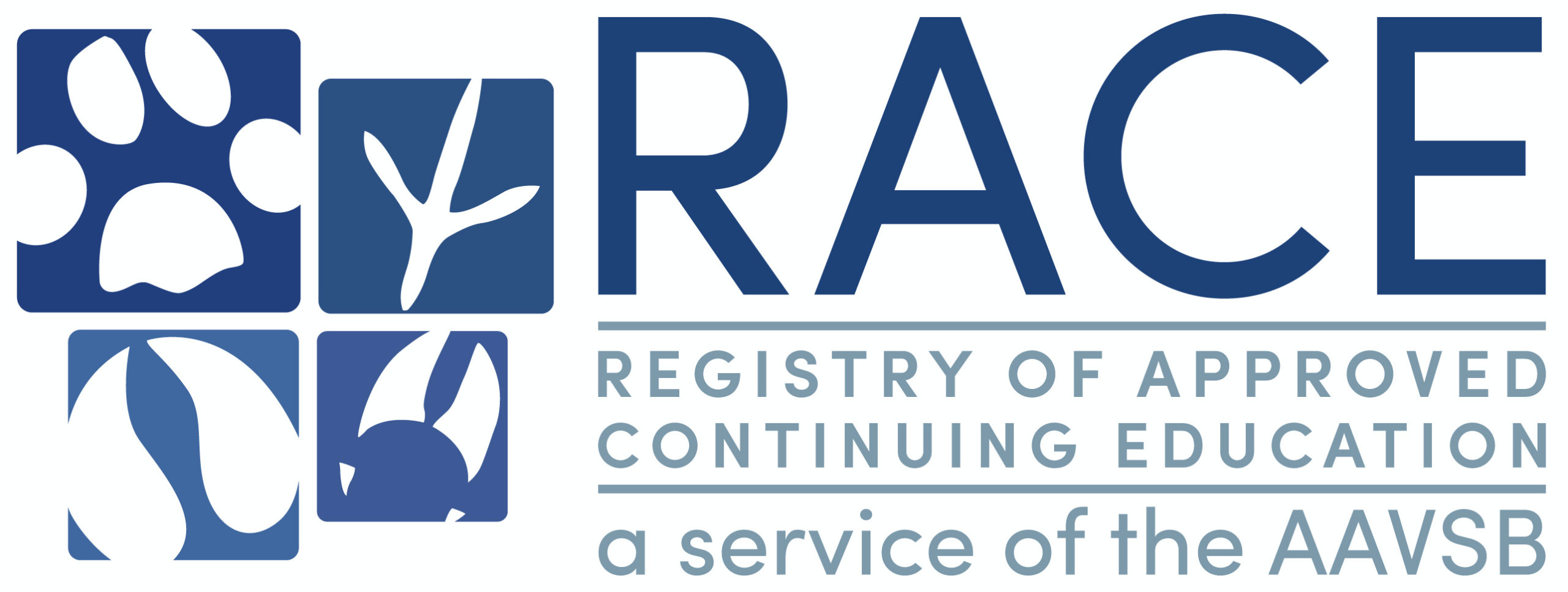 RACE Accreditation Logo scaled