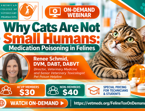 Why Cats Are Not Small Humans: Medication Poisoning in Felines | On-Demand CE for Pharmacy & Veterinary Professionals