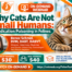 Why Cats Are Not Small Humans — On Demand Graphic
